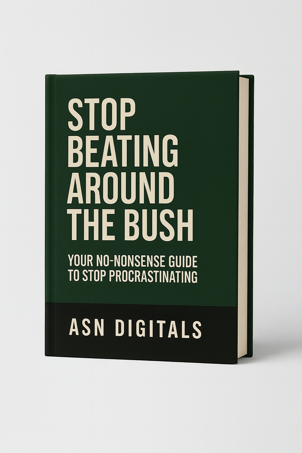 Stop Beating Around The Bush guide cover - decision making and anti-procrastination ebook